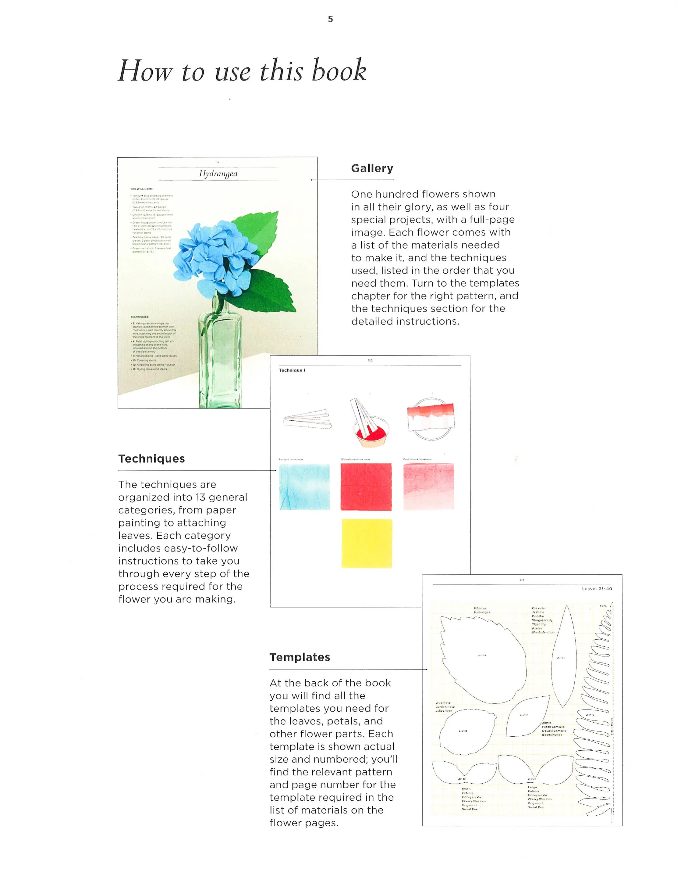 100 Simple Paper Flowers: 100 Beautiful Postcards