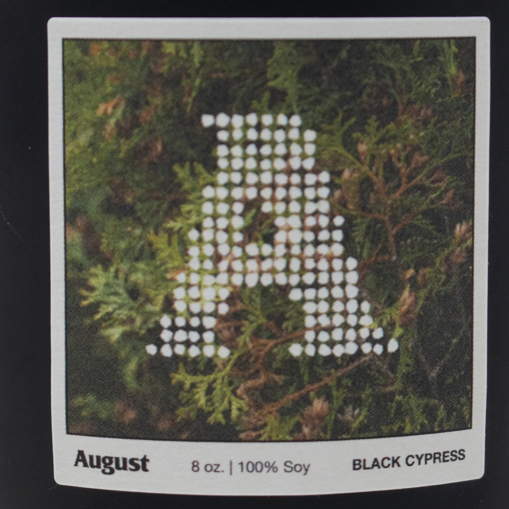 August "Black Cypress & Cassis” Candle