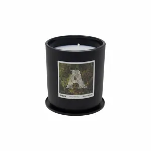August "Black Cypress & Cassis” Candle