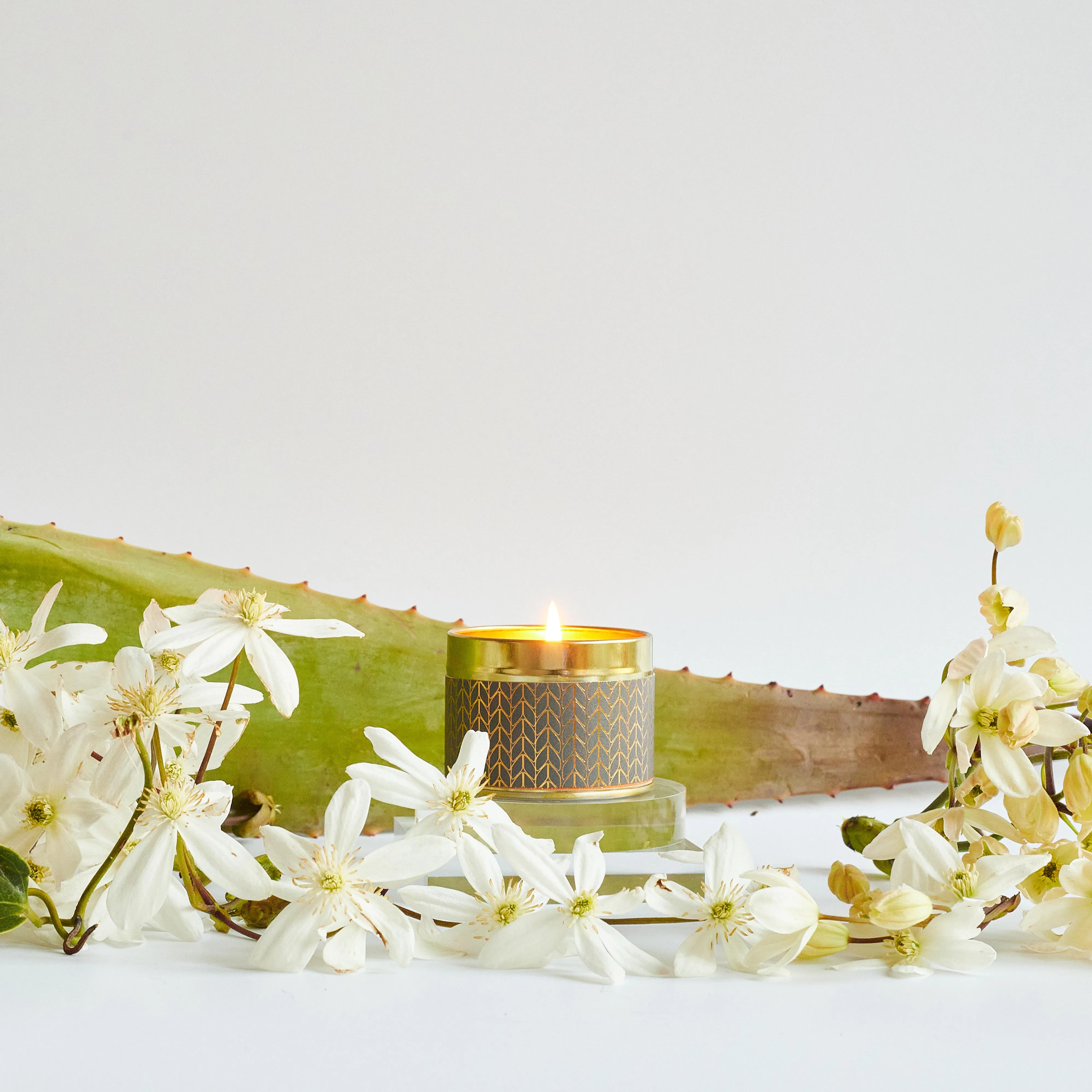Cashmere Scented Tin Candle