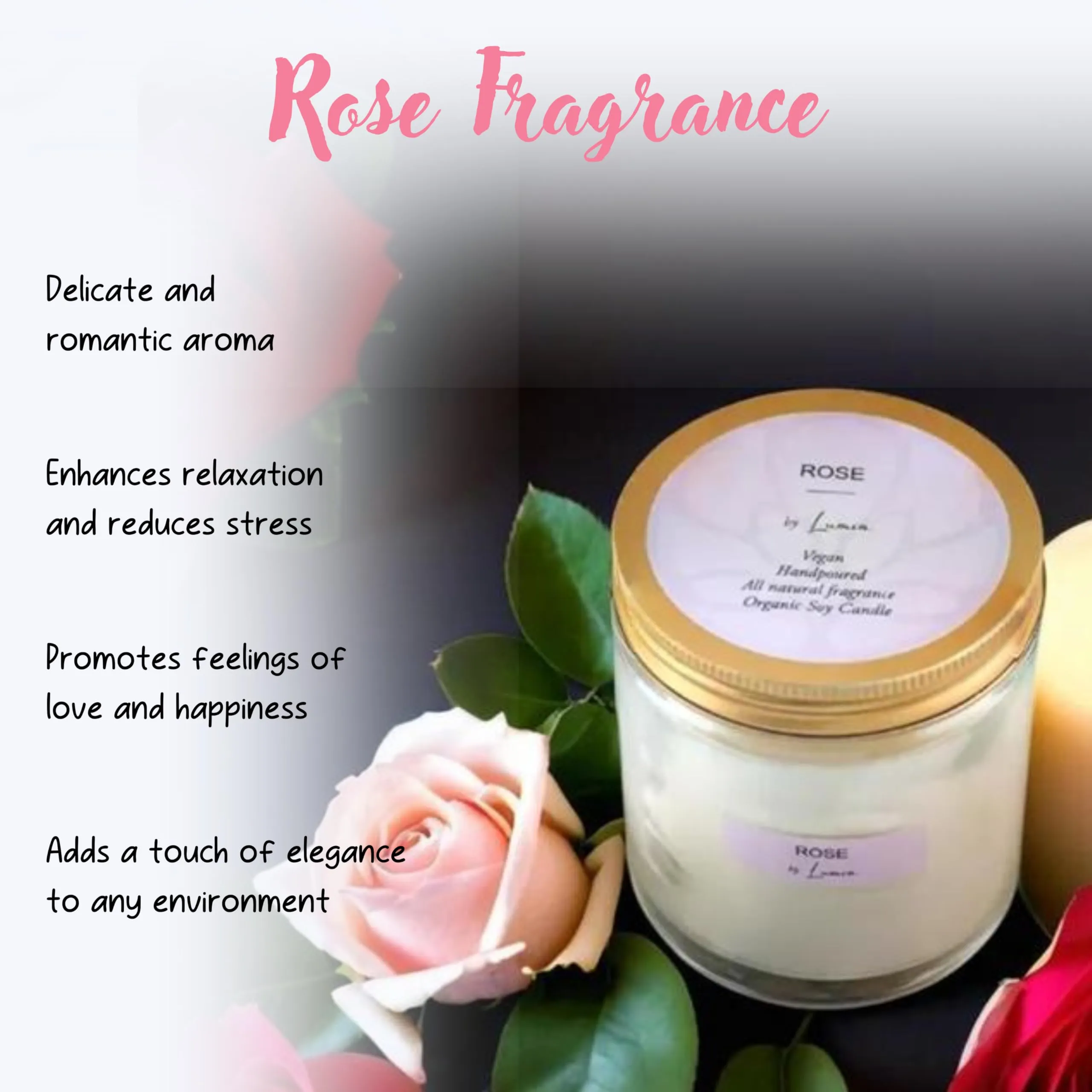 LUMIA Rose & Orange Cinnamon Organic Scented Soy Wax Candles Set of 2 | Burning Time -24 Hours | Aromatherapy | Perfect Home Gift | Eco-Friendly | Vegan | Non-Toxic | 165 Grams Each