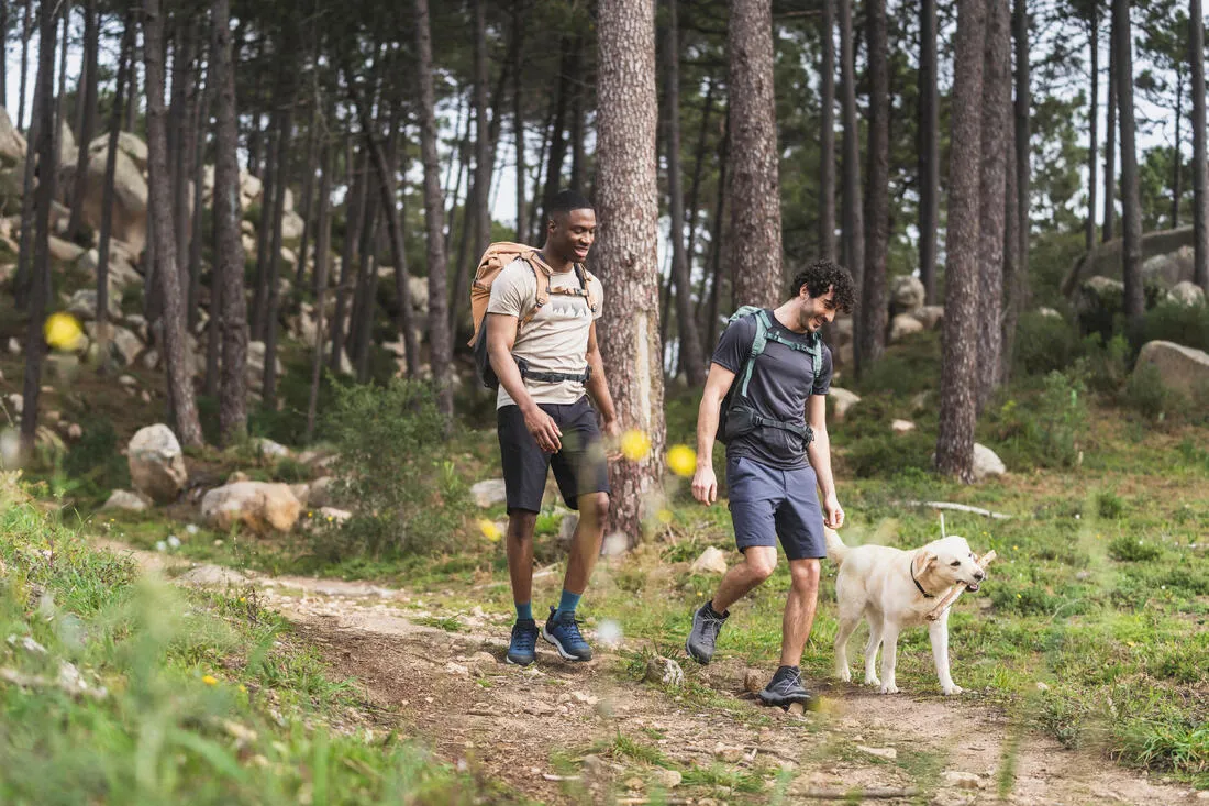 Men's long hiking shorts - MH500