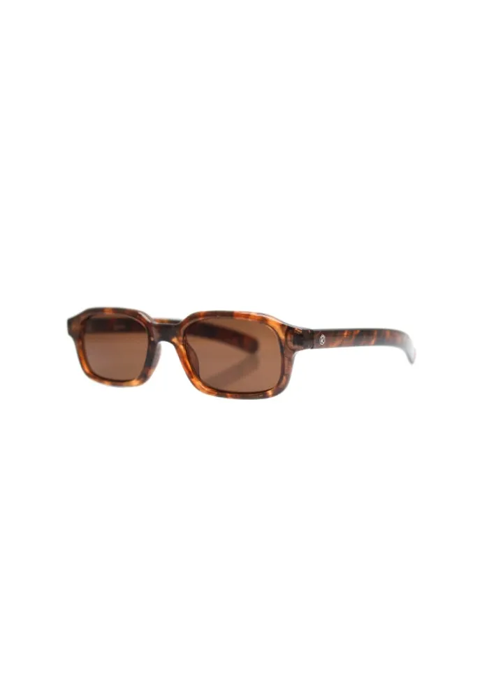 The Buzz - Turtle Dark Brown