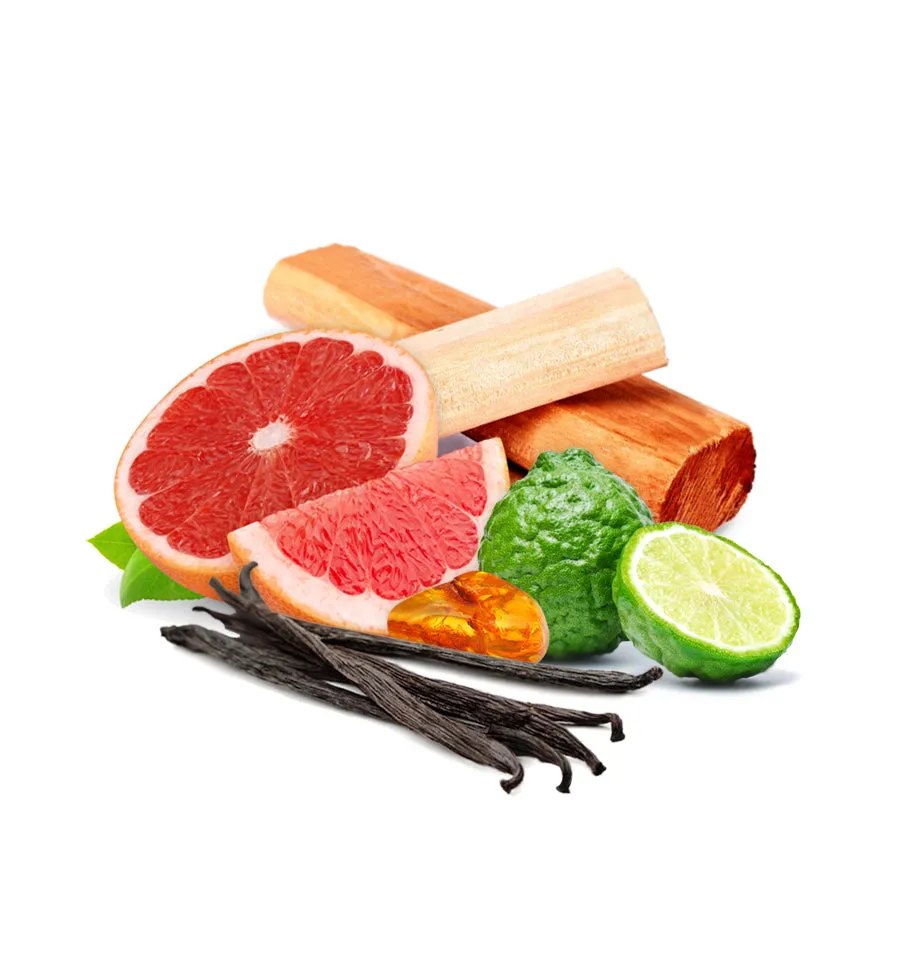 White Sandalwood Fragrance Oil
